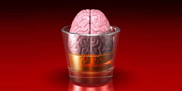 brain in a glass - illustration by norebbo