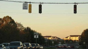 Signals out of order. Wisteria - Photo by Andrew Bossi