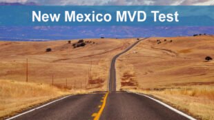 New Mexico MVD Test - Pierluigi D'Amelio