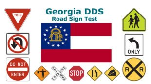 Georgia DDS Road Sign Test